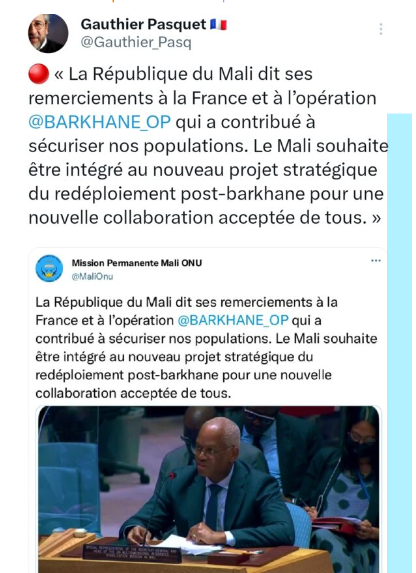 Infox sur la mission de l'ONU