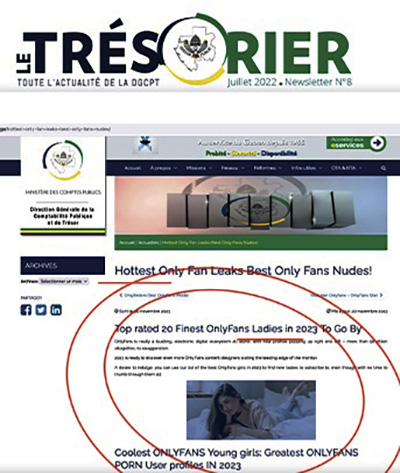 Intrusion cyber sur le site du tresor publlc du Gabon