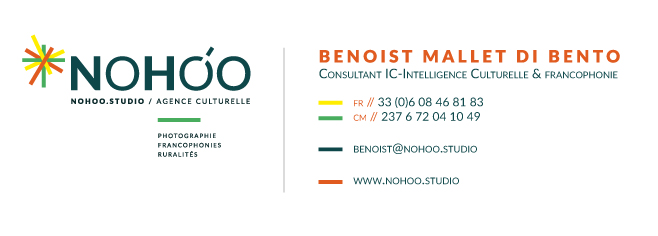 Vers une francophonie de la cybersécurité : pour une écologie géopolitique du cyberespace