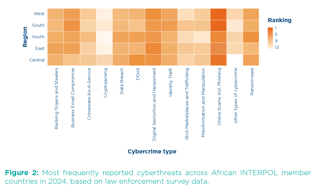 rapport interpol