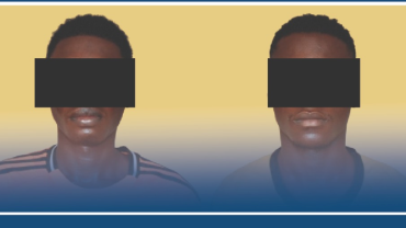 Achats en ligne : la BCLCC démantèle un réseau de cybercriminel sur la vente d'animaux