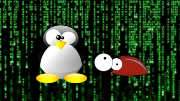 Ubuntu en alerte : des failles critiques dans le noyau Linux exposent les systèmes à des attaques