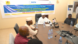 formation_sur_la_regulation_des_communication_electroniques_au_tchad