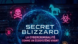 ECOLOGIE GEOPOLITIQUE DU CYBERESPACE 