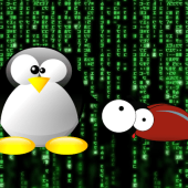 Ubuntu en alerte : des failles critiques dans le noyau Linux exposent les systèmes à des attaques