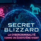 ECOLOGIE GEOPOLITIQUE DU CYBERESPACE 