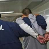 Opération Contender d’Interpol 3.0 : plus de 260 individus arrêtés en Afrique pour cybercrime 